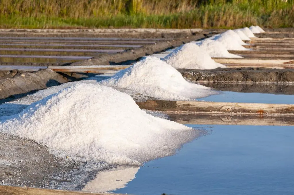 As salinas de Aveiro, montes de sal branco